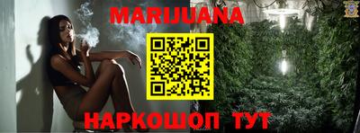 Альфа ПВП Камышлов