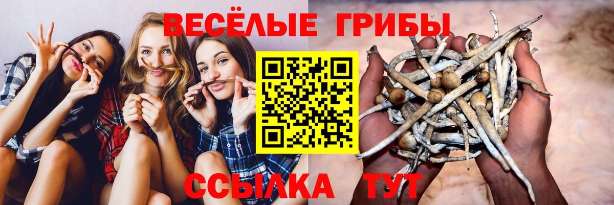 Псилоцибиновые грибы Magic Shrooms  Вход с VPN  Кубинка  Псилоцибиновые грибы мицелий 