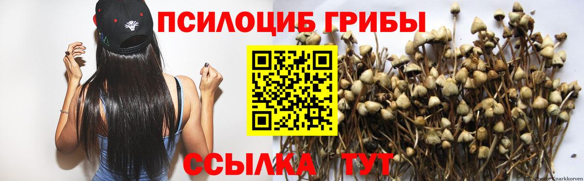 Псилоцибиновые грибы мицелий Кубинка